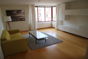 For rent: Apartment Hartingstraat, Utrecht - 1