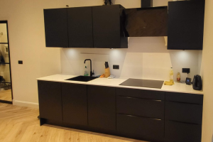 Te huur: Appartement Anton de Haenstraat, Den Haag - 1