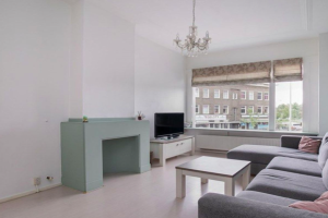 For rent: Apartment Soestdijkseplein, Den Haag - 1