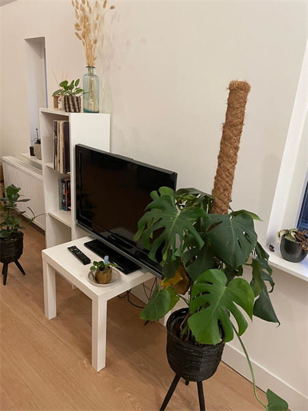 Te huur: Appartement St. Janstraat, Breda - 7