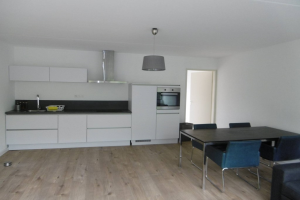 Te huur: Appartement Van Suchtelen van de Haarestraat, Amsterdam - 1