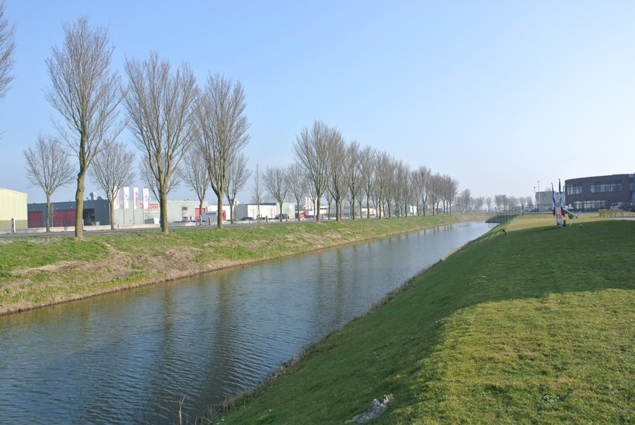 Te huur: Parkeren Bollenmarkt, Zwaagdijk-Oost - 9