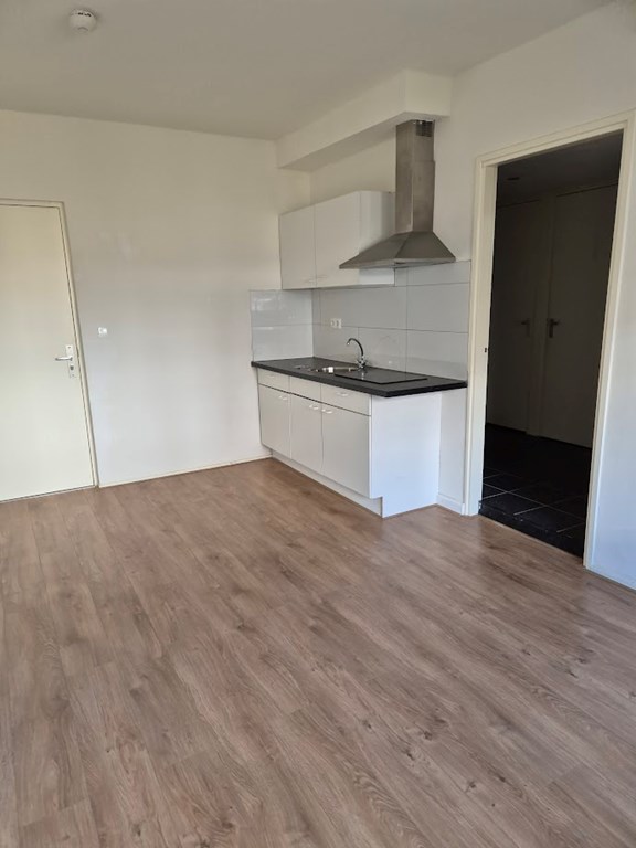 For rent: Apartment Pijnboomstraat, Nijmegen - 1