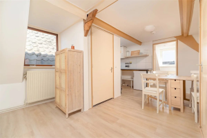 For rent: Apartment Hansenstraat, Leiden - 1