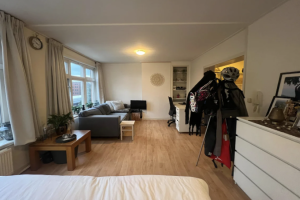 For rent: Studio Oosterhaven, Groningen - 1