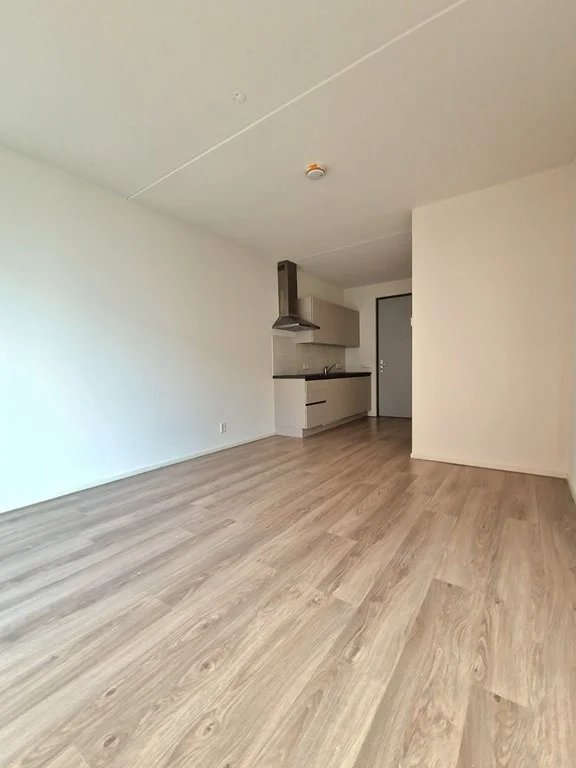 Te huur: Studio Laakweg, Den Haag - 5