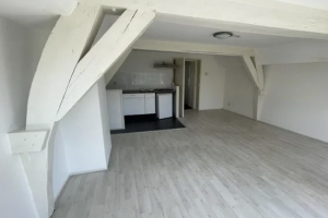 Te huur: Appartement Oude Rijn, Leiden - 1