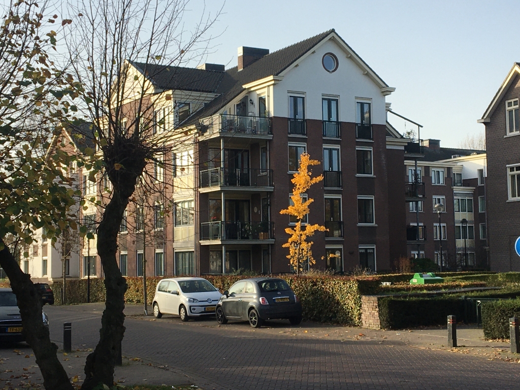 For rent: Apartment Tienakker, Wijchen - 13