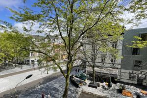 For rent: Studio Alexander Battalaan, Maastricht - 1