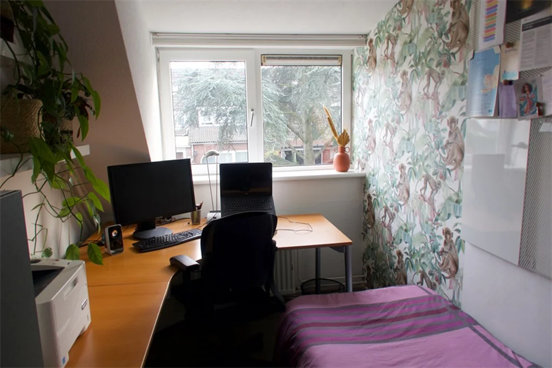 For rent: House Reigerskamp, Maarssen - 9