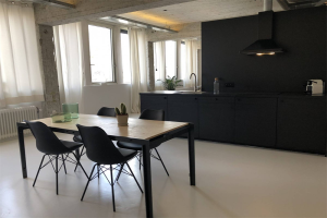 Te huur: Appartement Professor Pieter Willemsstraat, Maastricht - 1