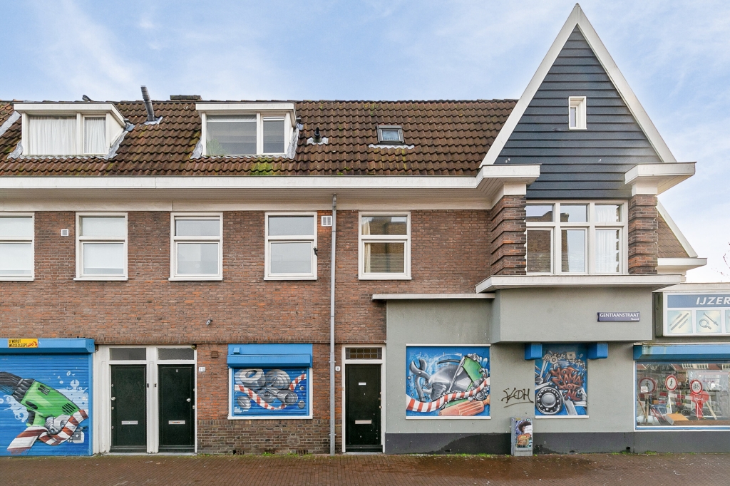 For rent: Apartment Gentiaanstraat, Amsterdam - 12