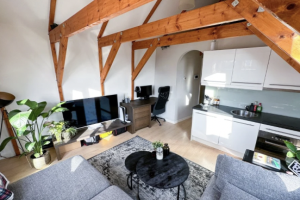 For rent: Apartment Nassaulaan, Haarlem - 1