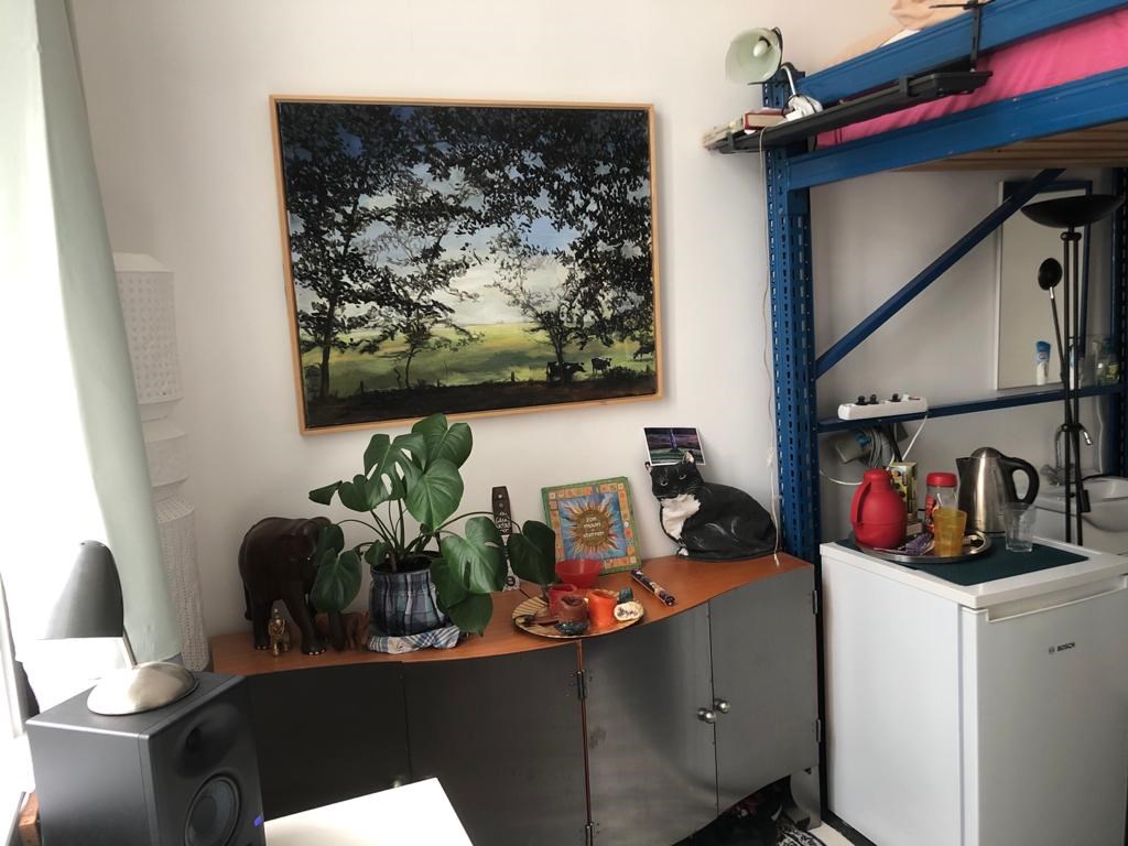 For rent: Room Renssenstraat, Arnhem - 1