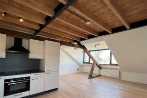 Te huur: Appartement Boezemsingel, Rotterdam - 1