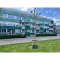 For rent: Apartment Aldegondaplantsoen, Maastricht - 1