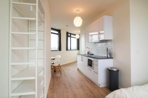 Te huur: Studio Soestdijksekade, Den Haag - 1