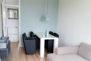 For rent: Apartment Bosboom-Toussaintplein, Delft - 1