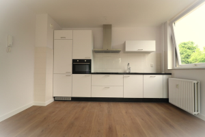 For rent: Apartment Parnassiaveld, Duivendrecht - 1
