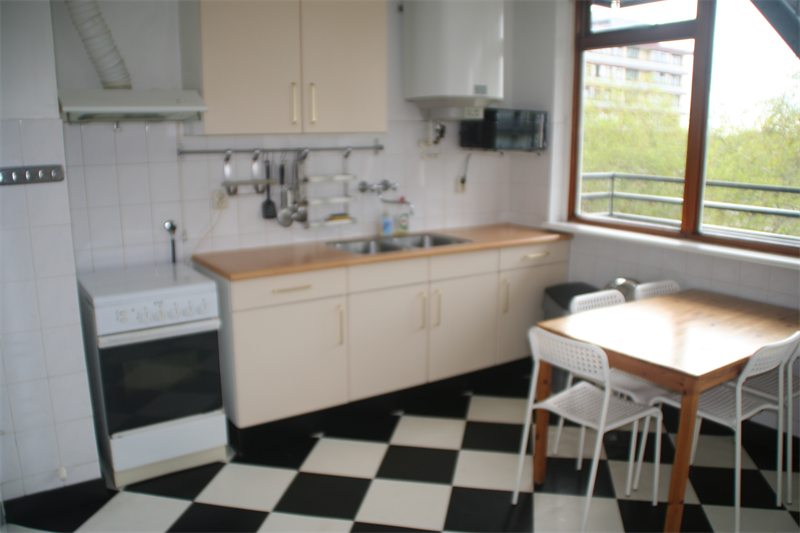 For rent: Apartment Goudvinklaan, Bilthoven - 2