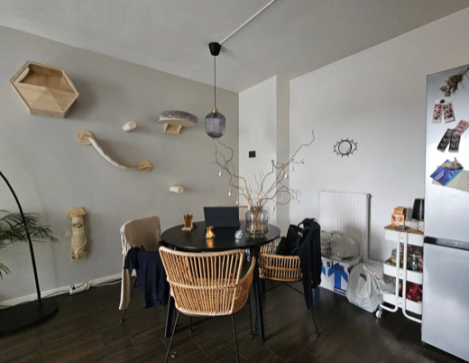 For rent: Apartment Stallingstraat, Breda - 3