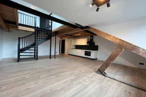 Te huur: Appartement Boezemsingel, Rotterdam - 1