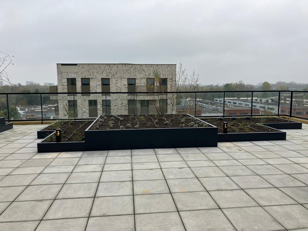 Te huur: Appartement Dijkmeerlaan, Amsterdam - 17