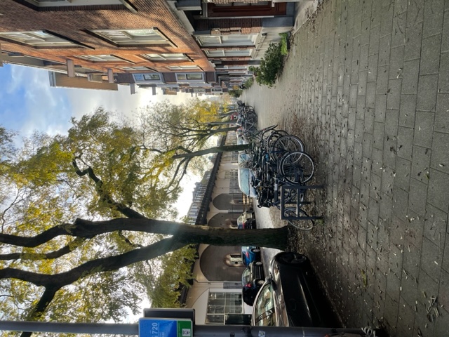 Kamer te huur in de Insulindestraat in Rotterdam