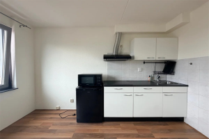 Te huur: Appartement Amsterdamsestraatweg, Utrecht - 1