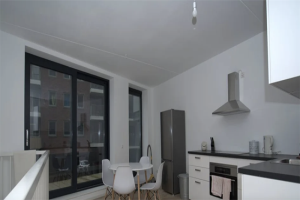 For rent: Apartment Van Leeuwenhoekpark, Delft - 1