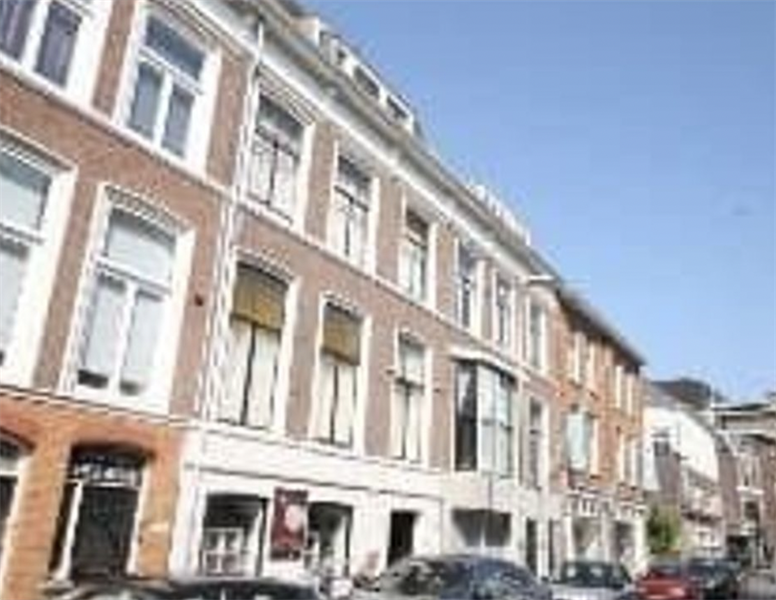 Kamer te huur in de Anna Paulownastraat in Den Haag
