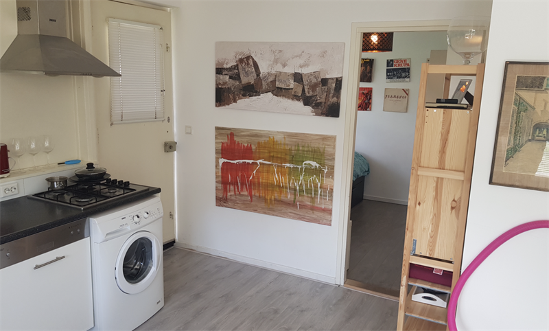 Te huur: Appartement Jan van Goyenstraat, Groningen - 1