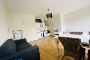 Te huur: Studio Fahrenheitstraat, Den Haag - 1