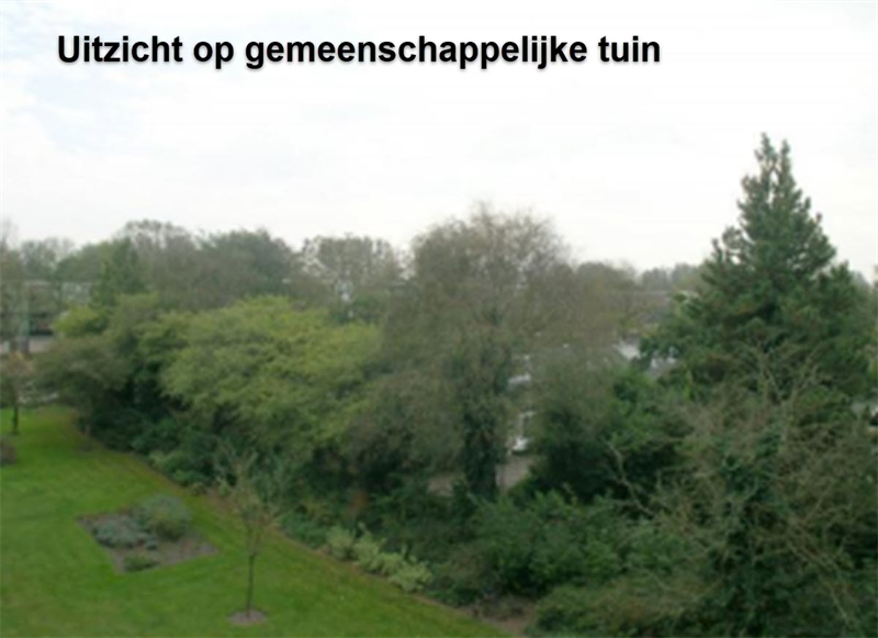 Te huur: Appartement Terborchlaan, Alkmaar - 7