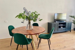 Te huur: Appartement Mallemolen, Den Haag - 1