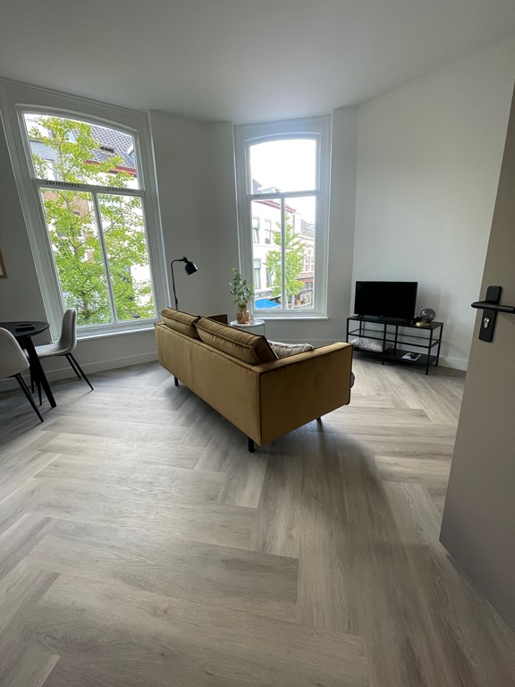 Luxury Apartment