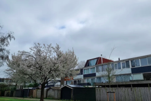 Te huur: Woning Ereprijsstraat, Soest - 1