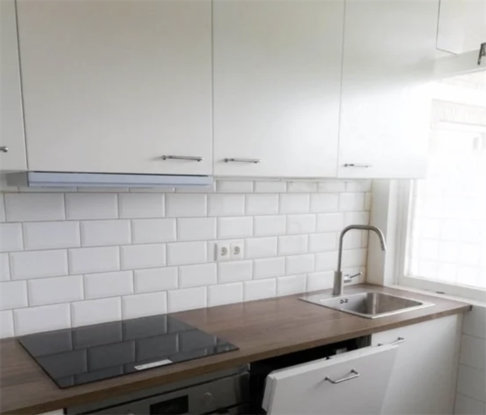 For rent: Apartment Bosboom-Toussaintplein, Delft - 3
