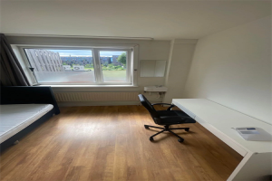 Te huur: Kamer Schootsestraat, Eindhoven - 1