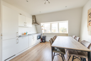 Te huur: Appartement Adriaen van Ostadelaan, Utrecht - 1