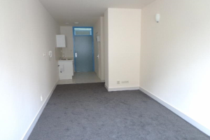 Te huur: Studio Wittevrouwensingel, Utrecht - 1