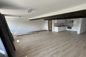 For rent: Apartment Vrijthof, Maastricht - 1