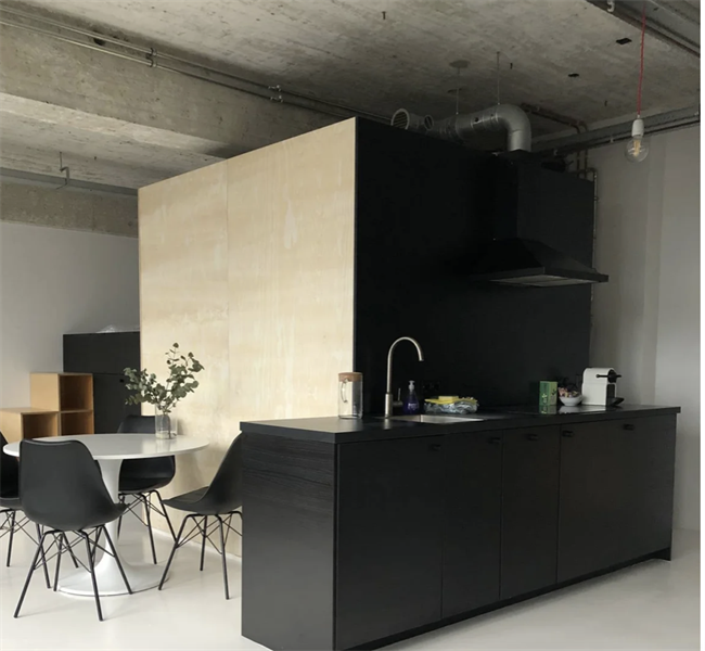 For rent: Apartment Professor Pieter Willemsstraat, Maastricht - 2