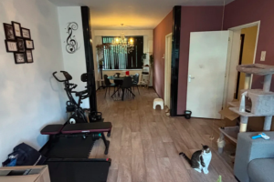 Te huur: Appartement Heymansstraat, Rotterdam - 1