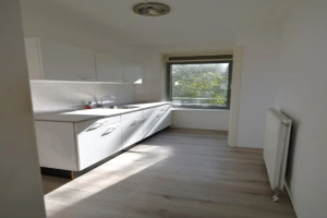 Te huur: Appartement Dordtselaan, Rotterdam - 1