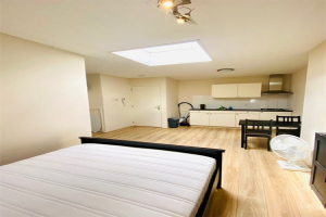 Te huur: Studio Borgesiusstraat, Rotterdam - 1
