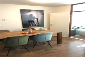 Te huur: Appartement Borchmolen, Eindhoven - 1