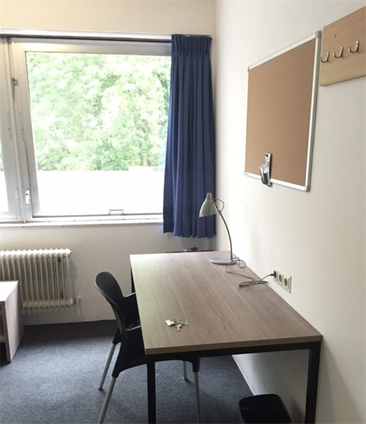 For rent: Room Aan 't Verlaat, Delft - 4