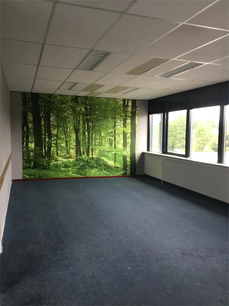 Te huur: Kamer De Omloop, Beilen - 3