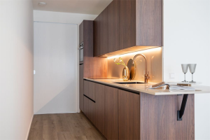 Te huur: Appartement Bagijnestraat, Den Haag - 1
